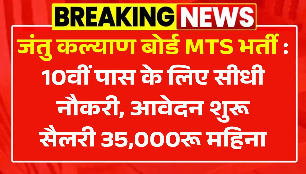 AWBI MTS Vacancy 2026: 10वीं पास के लिए बिना परीक्षा नौकरी, आवेदन शुरू