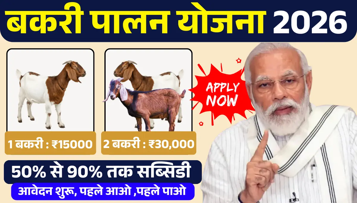 Bakri Palan Loan Yojana 2026: सरकार दे रही है बकरी पालन पर ₹5 लाख का लोन बिना गारंटी, आवेदन प्रक्रिया शुरू